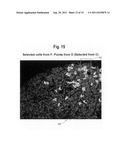 Quantitative, multispectral image analysis of tissue specimens stained     with quantum dots diagram and image