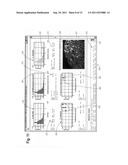 Quantitative, multispectral image analysis of tissue specimens stained     with quantum dots diagram and image