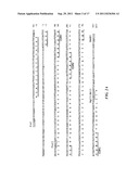 STRUCTURAL VARIANTS OF ANTIBODIES FOR IMPROVED THERAPEUTIC CHARACTERISTICS diagram and image