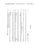 STRUCTURAL VARIANTS OF ANTIBODIES FOR IMPROVED THERAPEUTIC CHARACTERISTICS diagram and image