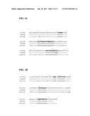 STRUCTURAL VARIANTS OF ANTIBODIES FOR IMPROVED THERAPEUTIC CHARACTERISTICS diagram and image