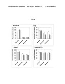 STRUCTURAL VARIANTS OF ANTIBODIES FOR IMPROVED THERAPEUTIC CHARACTERISTICS diagram and image