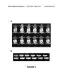 PEPTIDE TARGETING IMAGING AGENTS AND METHODS OF USE THEREOF diagram and image