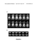 PEPTIDE TARGETING IMAGING AGENTS AND METHODS OF USE THEREOF diagram and image