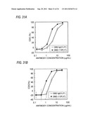GENETICALLY RECOMBINANT ANTIBODY COMPOSITION CAPABLE OF BINDING     SPECIFICALLY TO GANGLIOSIDE GM2 diagram and image