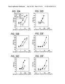 GENETICALLY RECOMBINANT ANTIBODY COMPOSITION CAPABLE OF BINDING     SPECIFICALLY TO GANGLIOSIDE GM2 diagram and image