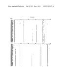 NON-NEUTRALIZING IMMUNITY TO INFLUENZA TO PREVENT SECONDARY BACTERIAL     PNEUMONIA diagram and image