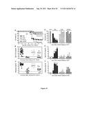 NON-NEUTRALIZING IMMUNITY TO INFLUENZA TO PREVENT SECONDARY BACTERIAL     PNEUMONIA diagram and image