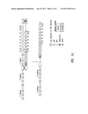 NON-HUMAN MAMMALS FOR THE PRODUCTION OF CHIMERIC ANTIBODIES diagram and image