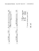 NON-HUMAN MAMMALS FOR THE PRODUCTION OF CHIMERIC ANTIBODIES diagram and image