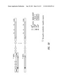 NON-HUMAN MAMMALS FOR THE PRODUCTION OF CHIMERIC ANTIBODIES diagram and image