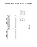 NON-HUMAN MAMMALS FOR THE PRODUCTION OF CHIMERIC ANTIBODIES diagram and image