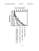 PHARMACEUTICAL COMBINATIONS COMPRISING A PYRIDO [4,3-D] PYRIMIDINE DERIVED     HSP90-INHIBITOR AND A HER2 INHIBITOR diagram and image