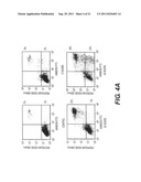 TARGETING PAX2 FOR THE INDUCTION OF DEFB1-MEDIATED TUMOR IMMUNITY AND     CANCER THERAPY diagram and image