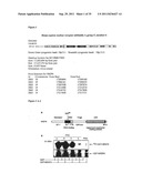 Antagonists of NR2F6 For Augmenting The Immune Response diagram and image