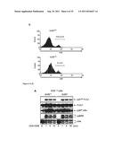 Antagonists of NR2F6 For Augmenting The Immune Response diagram and image