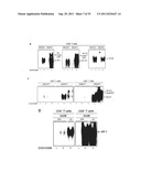 Antagonists of NR2F6 For Augmenting The Immune Response diagram and image