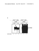 Antagonists of NR2F6 For Augmenting The Immune Response diagram and image