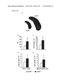 Antagonists of NR2F6 For Augmenting The Immune Response diagram and image