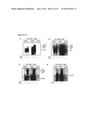 Antagonists of NR2F6 For Augmenting The Immune Response diagram and image