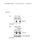 Antagonists of NR2F6 For Augmenting The Immune Response diagram and image