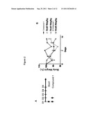 COMBINATION THERAPY WITH PEPTIDE EPOXYKETONES diagram and image