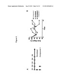 COMBINATION THERAPY WITH PEPTIDE EPOXYKETONES diagram and image