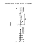 COMBINATION THERAPY WITH PEPTIDE EPOXYKETONES diagram and image