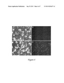 NANOPARTICLES AND METHODS OF USE diagram and image