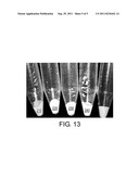 SOLID ORAL SENSORIAL PRODUCTS INCLUDING STAIN INHIBITOR diagram and image