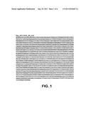 POLYNUCLEOTIDES ENCODING ANTIGENIC HIV TYPE C POLYPEPTIDES, POLYPEPTIDES     AND USES THEREOF diagram and image