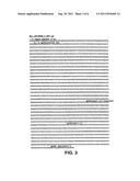 POLYNUCLEOTIDES ENCODING ANTIGENIC HIV TYPE C POLYPEPTIDES, POLYPEPTIDES     AND USES THEREOF diagram and image