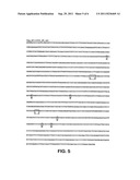 POLYNUCLEOTIDES ENCODING ANTIGENIC HIV TYPE C POLYPEPTIDES, POLYPEPTIDES     AND USES THEREOF diagram and image