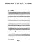 POLYNUCLEOTIDES ENCODING ANTIGENIC HIV TYPE C POLYPEPTIDES, POLYPEPTIDES     AND USES THEREOF diagram and image