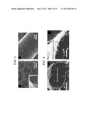 THREE DIMENSIONAL ELECTRODES USEFUL FOR MICROBIAL FUEL CELLS diagram and image