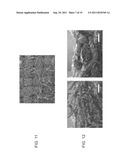 THREE DIMENSIONAL ELECTRODES USEFUL FOR MICROBIAL FUEL CELLS diagram and image