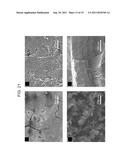 THREE DIMENSIONAL ELECTRODES USEFUL FOR MICROBIAL FUEL CELLS diagram and image