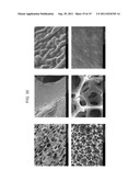 THREE DIMENSIONAL ELECTRODES USEFUL FOR MICROBIAL FUEL CELLS diagram and image