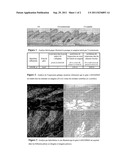 LGR5 MODULATORS IN THE TREATMENT OF ALOPECIA diagram and image