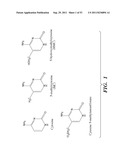 SELECTIVE OXIDATION OF 5-METHYLCYTOSINE BY TET-FAMILY PROTEINS diagram and image