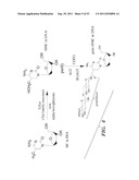 SELECTIVE OXIDATION OF 5-METHYLCYTOSINE BY TET-FAMILY PROTEINS diagram and image