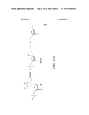 SELECTIVE OXIDATION OF 5-METHYLCYTOSINE BY TET-FAMILY PROTEINS diagram and image