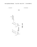 SELECTIVE OXIDATION OF 5-METHYLCYTOSINE BY TET-FAMILY PROTEINS diagram and image