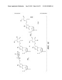 SELECTIVE OXIDATION OF 5-METHYLCYTOSINE BY TET-FAMILY PROTEINS diagram and image