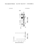 SELECTIVE OXIDATION OF 5-METHYLCYTOSINE BY TET-FAMILY PROTEINS diagram and image