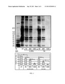 Methods for Processing Biological Tissues diagram and image