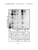 Methods for Processing Biological Tissues diagram and image