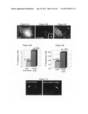 Centrosome proteins and uses thereof diagram and image