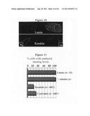 Centrosome proteins and uses thereof diagram and image