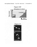 Centrosome proteins and uses thereof diagram and image